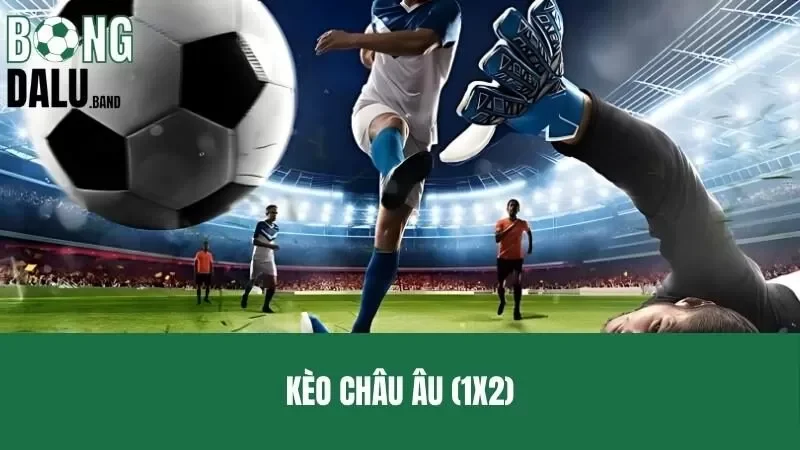 Kèo Châu Âu – Giải Mã Bí Ẩn Đằng Sau Mức Tỷ Lệ Thắng Bại